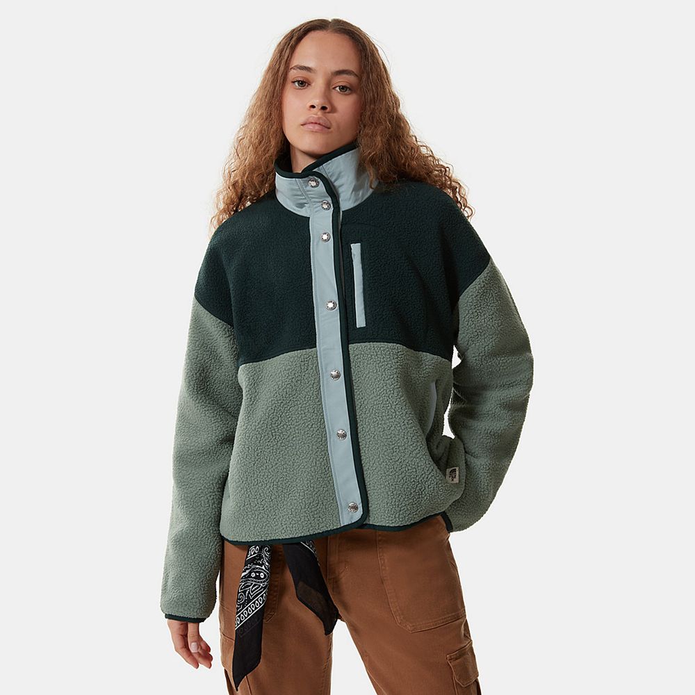 The North Face Fleece Jacket Womens Australia - The North Face Cragmont Green (KOF-978240)